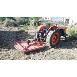 Kubota 25cv (3 cilindros) - 4x2 c/capinadeira e matricula